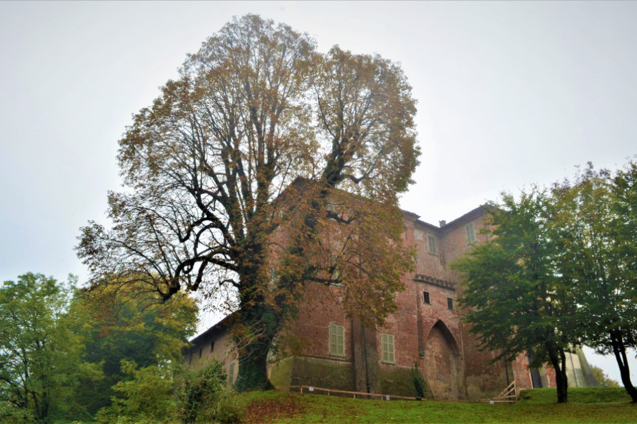 The Horse Chestnut of Somaglia Castle (LO)