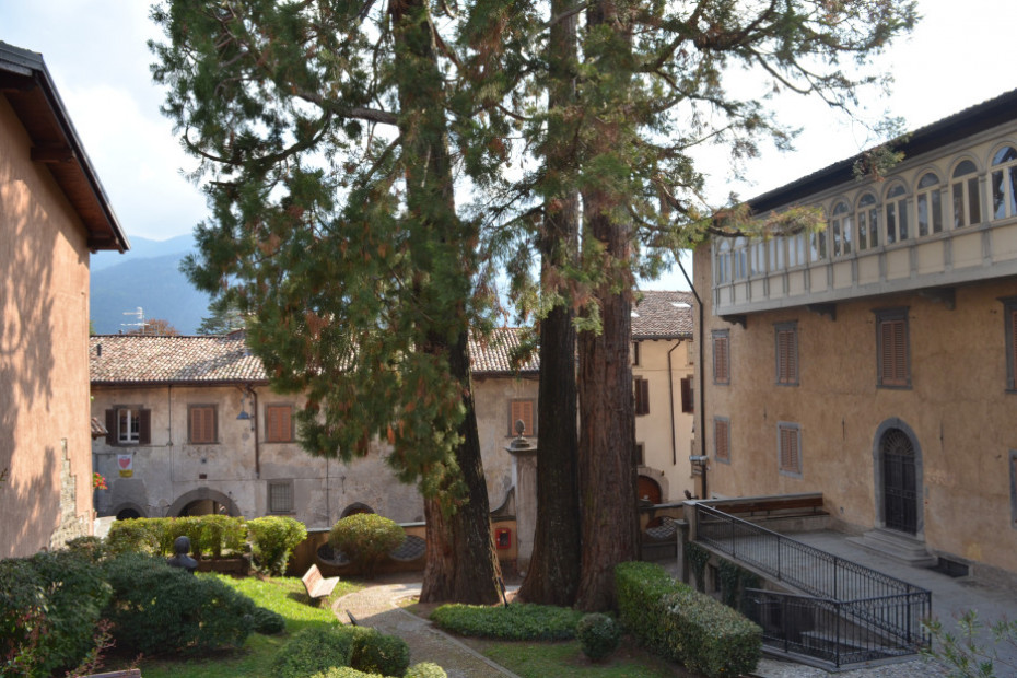 Le Sequoie giganti di Clusone