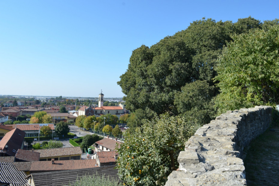 Il Bagolaro del Castello di Brusaporto