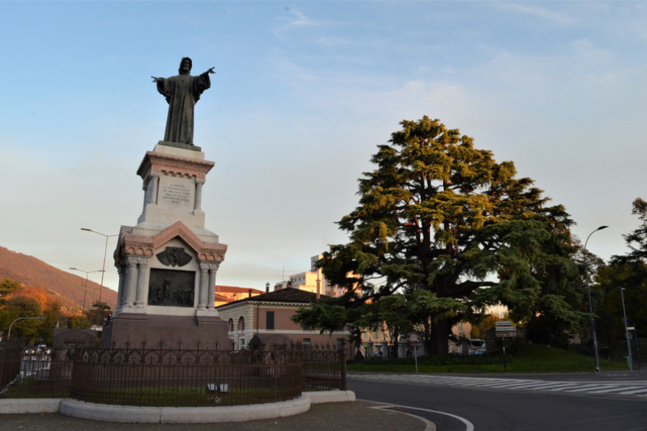 Il Cedro di Piazzale Arnaldo