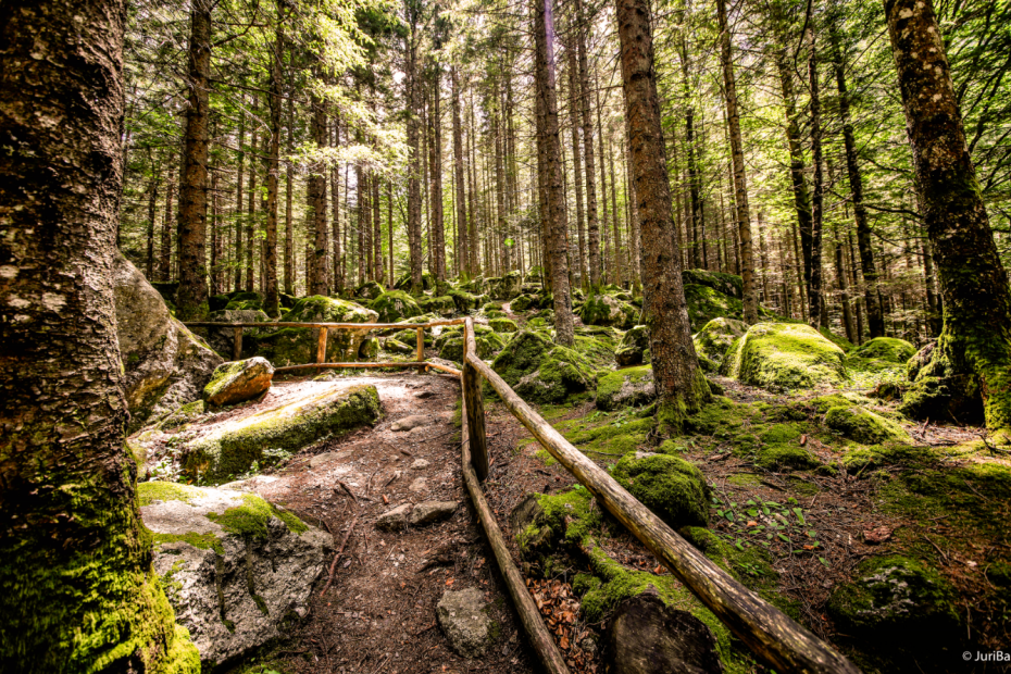 Foresta dei Bagni di Masino - le Termopili (SO) - 26/07/2020 - EVENTO SCADUTO Foresta dei Bagni di Masino - le Termopili (SO) - 26/07/2020 - EVENTO SCADUTO