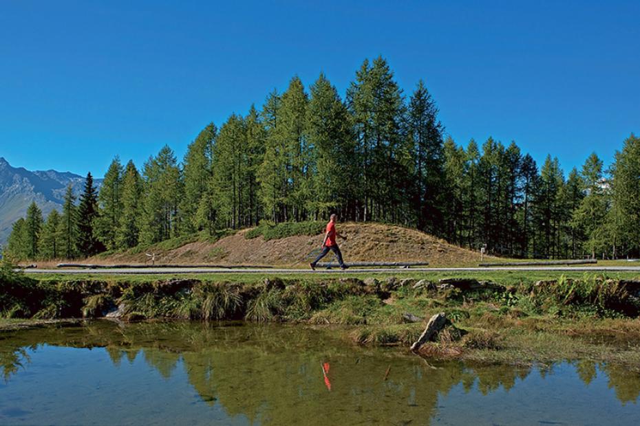 Nordic walking, take a hike through the countryside