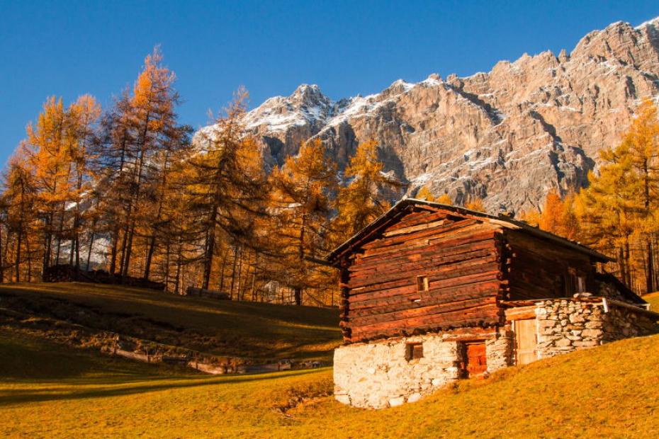 TREKKING FRA I BOSCHI