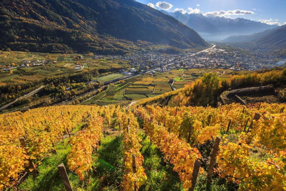 Taste the best food and wine in Valtellina