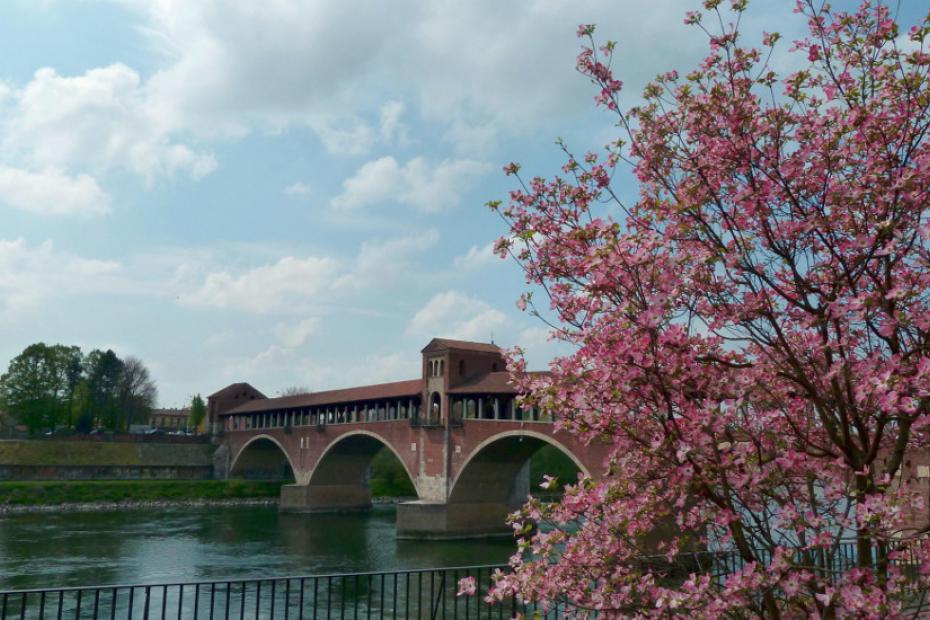 Walking along the Ticino River in Pavia