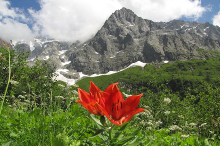 Il risveglio della natura