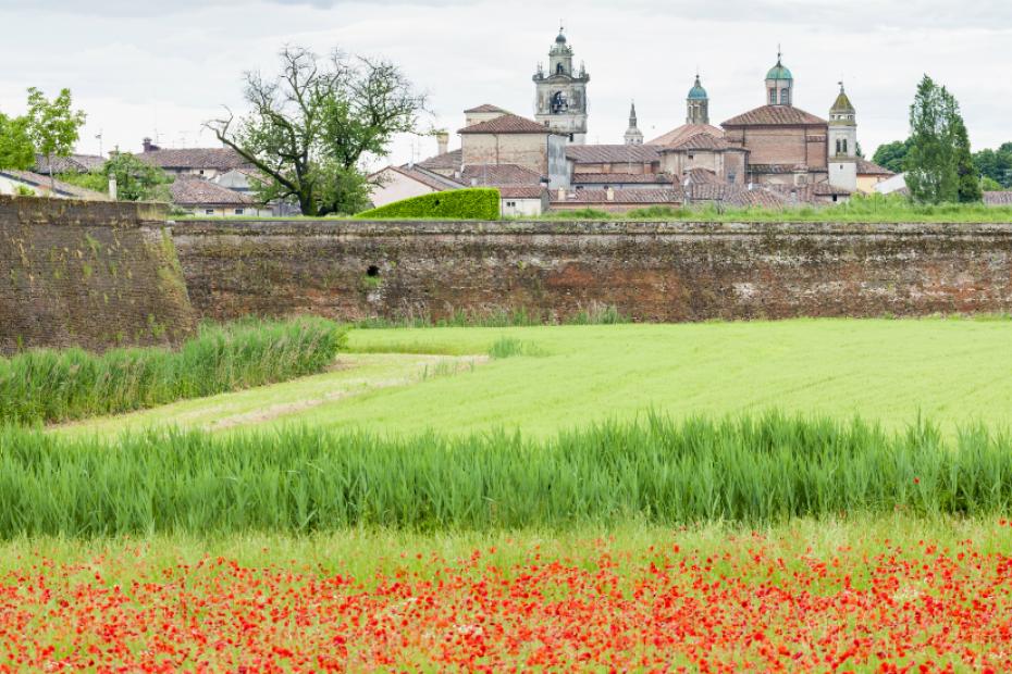 It displays the projects of Vespasiano Gonzaga