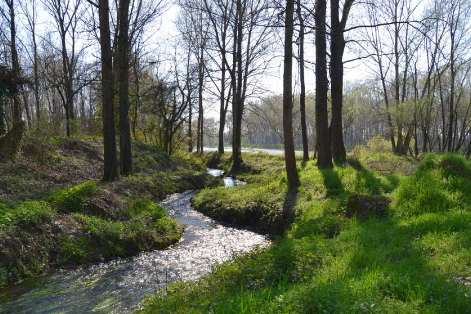 6. Andare in bici lungo il fiume Oglio