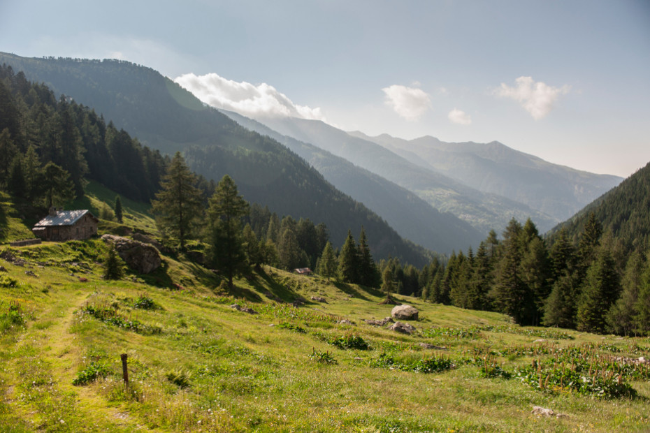 Leonardo between Lario, Valsassina and Valtellina