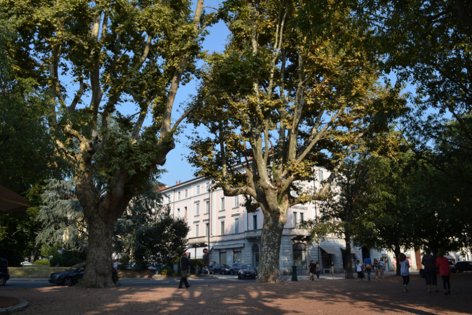 I Platani di Luino
