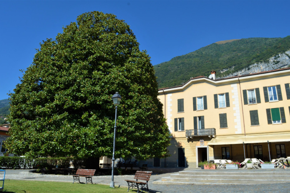 La Magnolia di Azzano