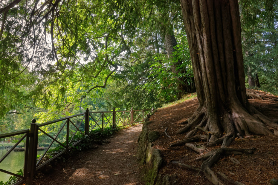 5. Passeggiata nei Giardini Reali (Monza, MB)