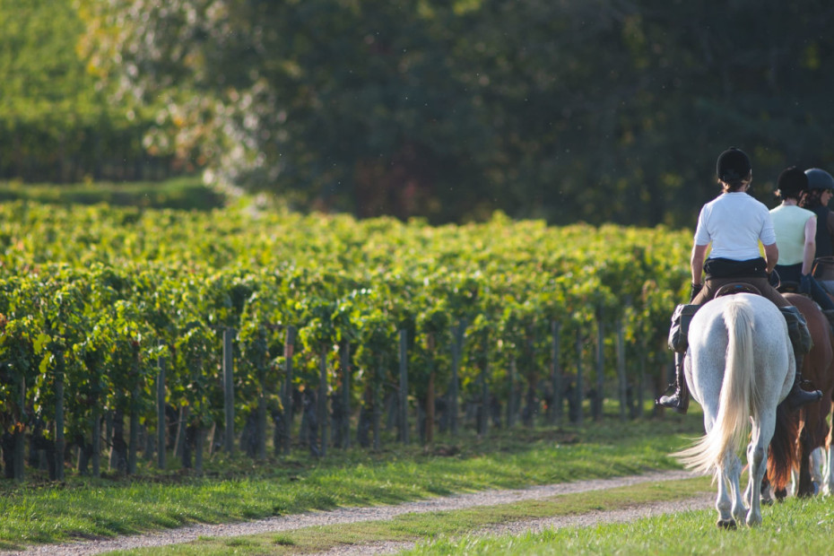 A cavallo sulle colline moreniche (MN)