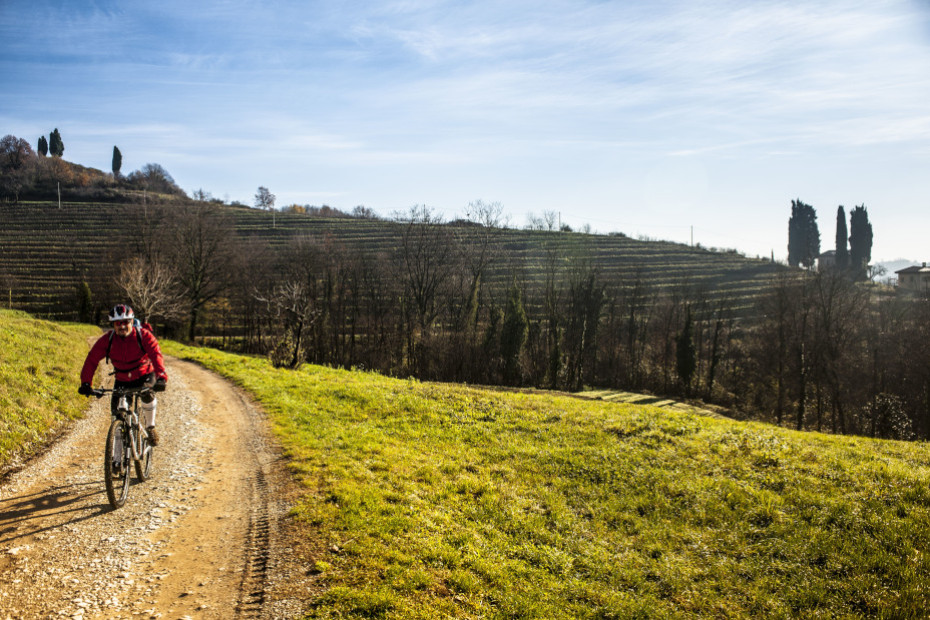 In e-bike tra i filari di Montevecchia (LC)