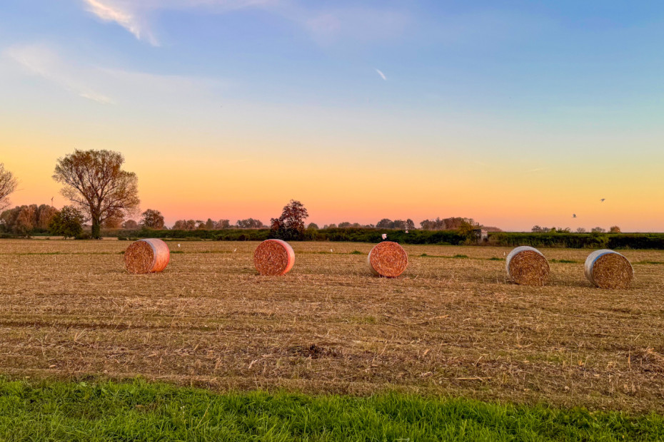 Passeggiate attraverso borghi, sapori e natura (CR,MN)