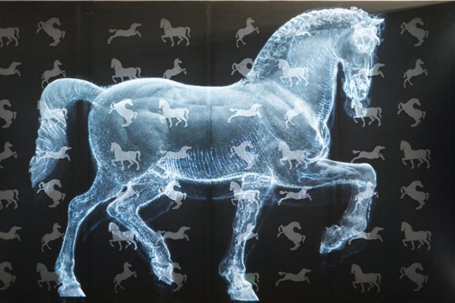 5. Leonardo da Vinci and the Leonardiana: a homegrown genius