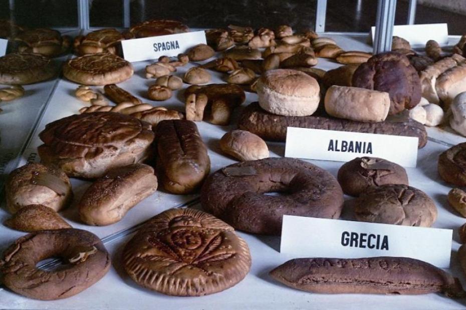 MUSEO DEL PANE