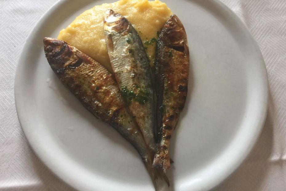 Dried Sardines: eat them with Polenta