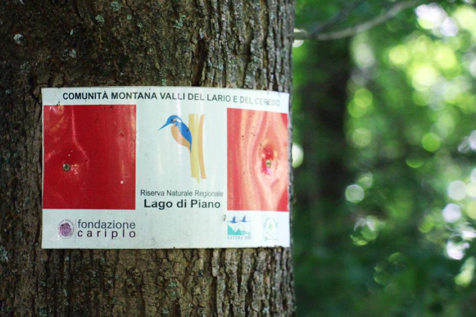 Lago di Piano: piccola perla immersa in una riserva naturale