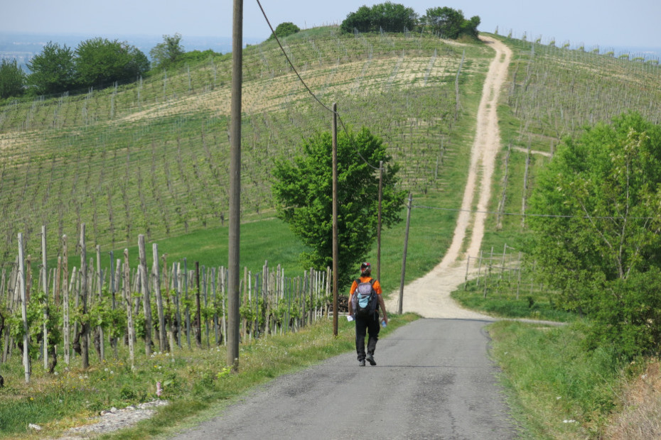 16. Da Monteguzzo a Torrazzetta