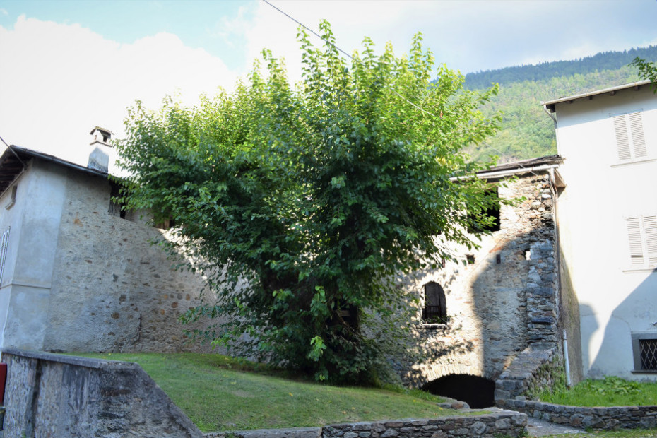  Il Gelso di Ponte in Valtellina