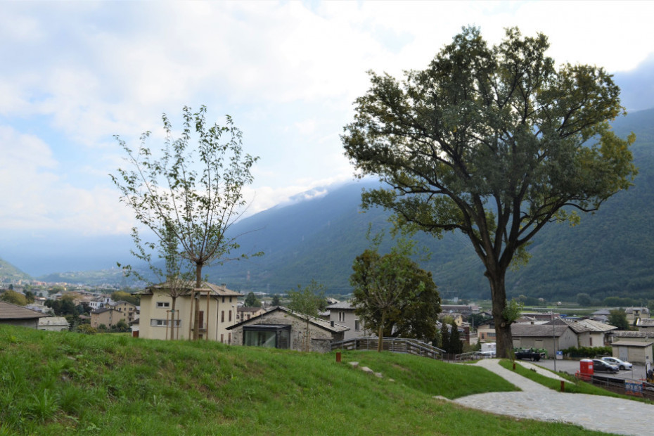 Il Pioppo di Villa di Tirano