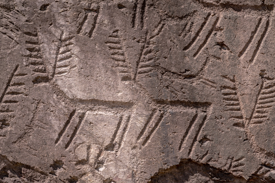 Gli splendidi cervi incisi sui grandi massi erratici di Cemmo (Roccia 1, Parco Archeologico Nazionale dei Massi di Cemmo, Capo di Ponte)