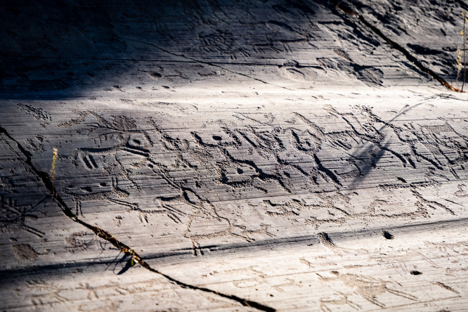 La magnifica superficie istoriata della Roccia 1 nel Parco Nazionale delle Incisioni Rupestri (loc. Naquane, Capo di Ponte)