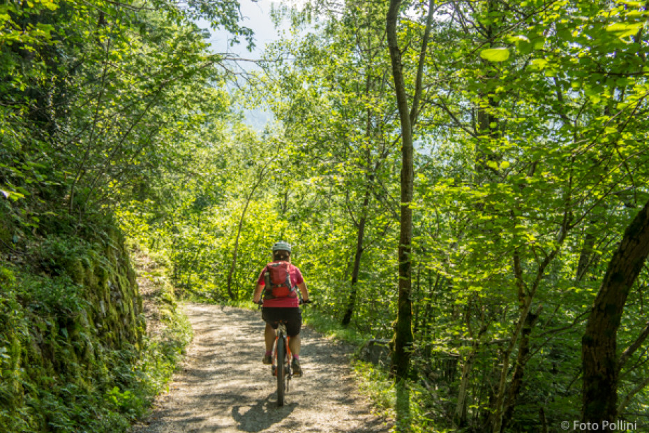 Sondrio - Triasso - Castione Andevenno in bici