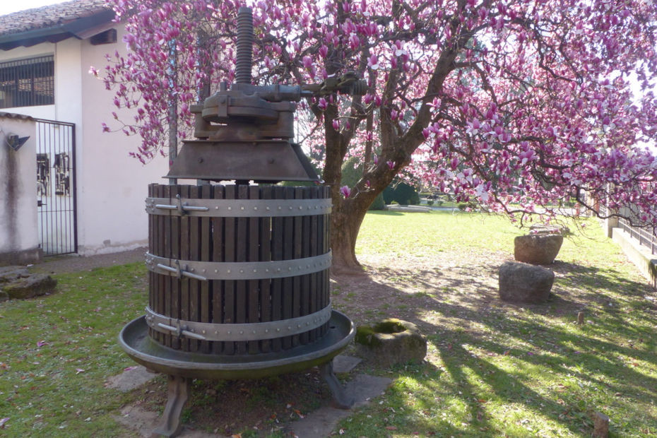 Torchio, Museo “Carlo Verri”, Biassono (MB)