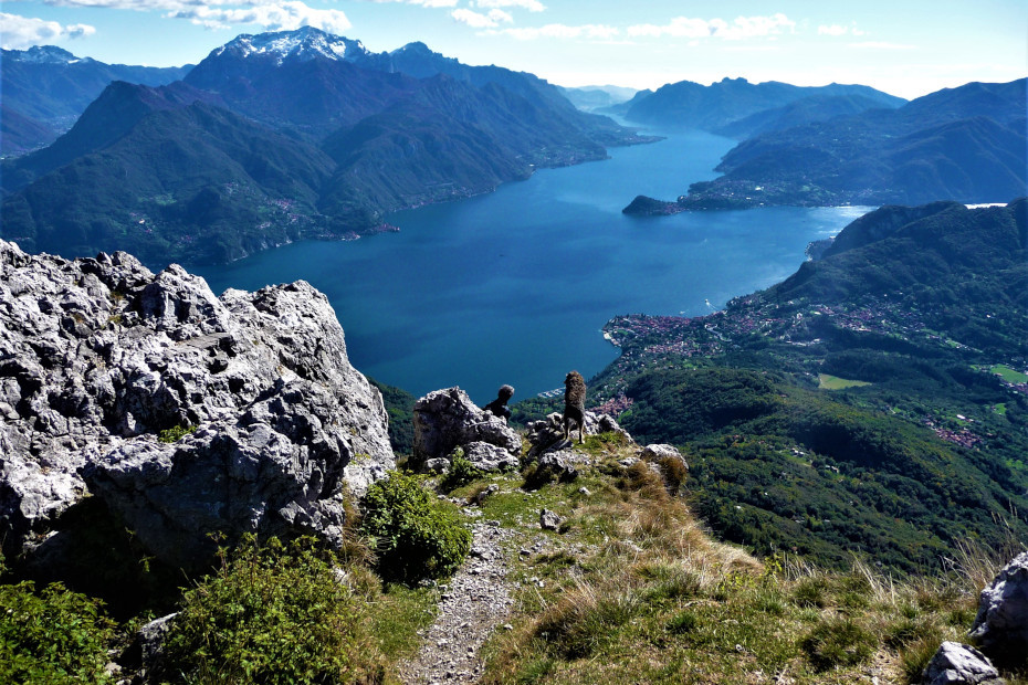 1. Tra sculture e natura il sentiero delle espressioni in Valle Intelvi