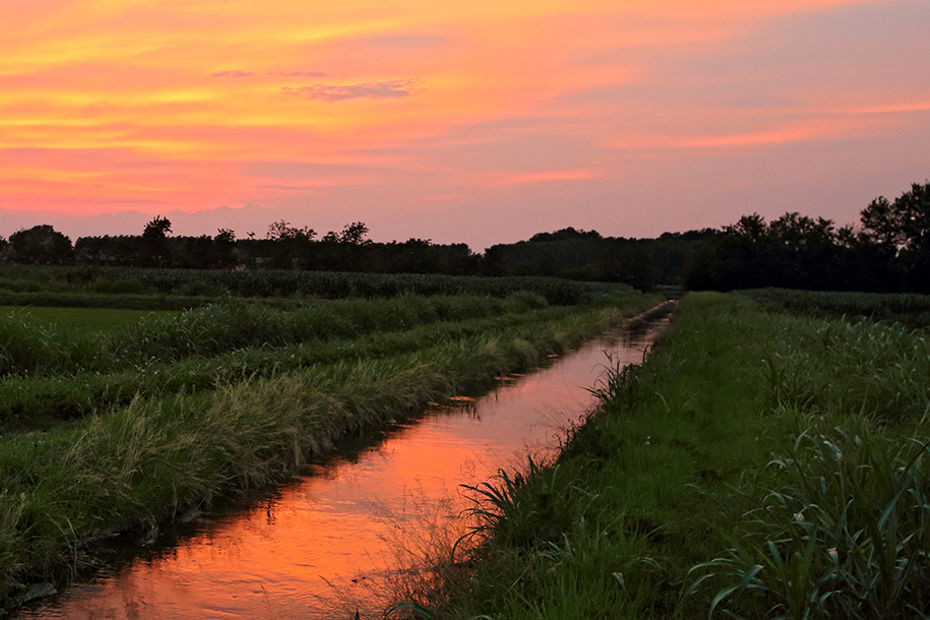 The Via Francigena | From Garlasco (PV) to Pavia