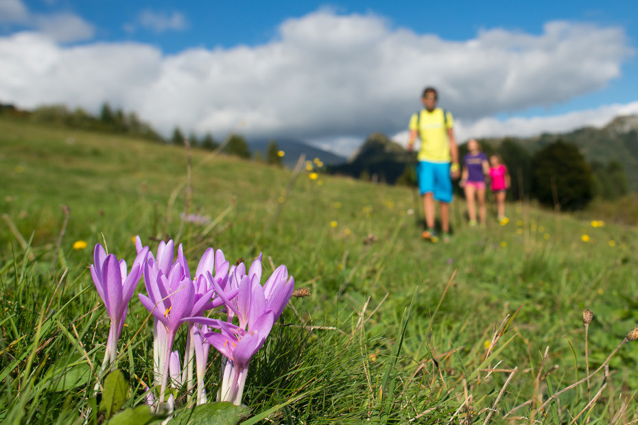 2. Incontrare le marmotte al rifugio Calvi in Val Brembana e gita ai laghi di Carona