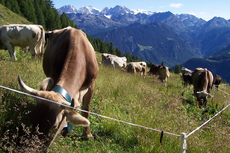 The Alta Via della Valmalenco | Valmalenco