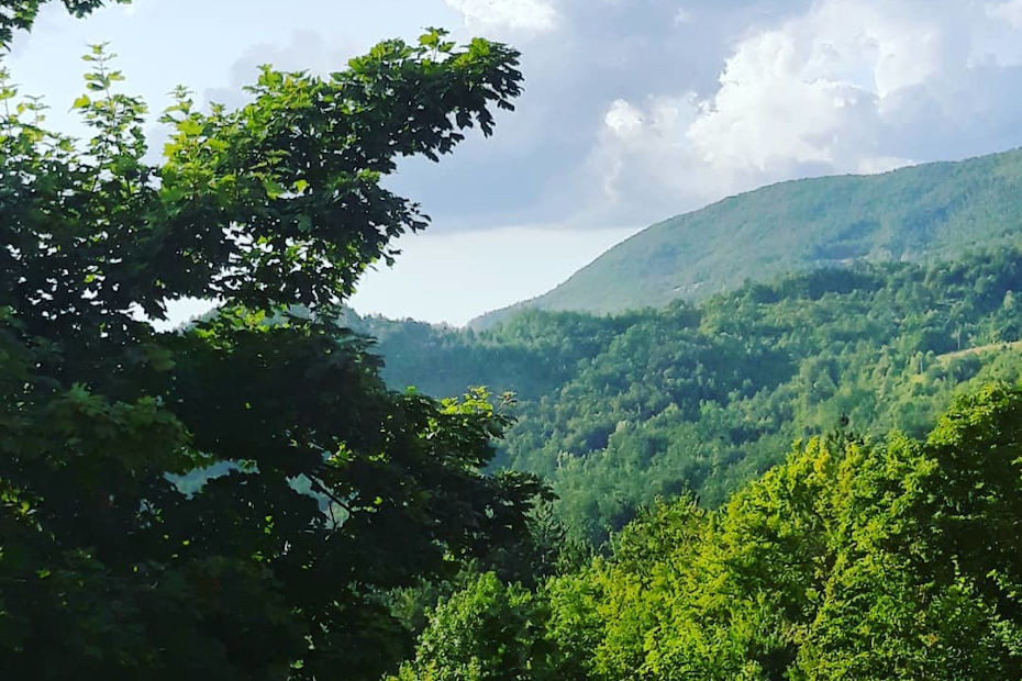 Brallo di Pregola (PV) 