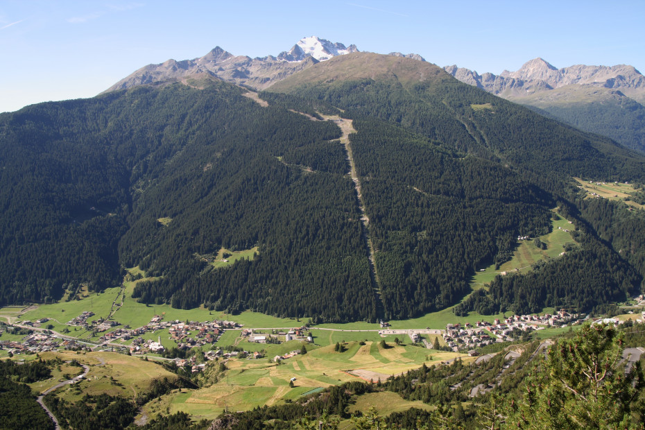Foresta Ersaf Alpe Boron (SO) - 20/09/2020 - EVENTO SCADUTO Foresta Ersaf Alpe Boron (SO) - 20/09/2020 - EVENTO SCADUTO