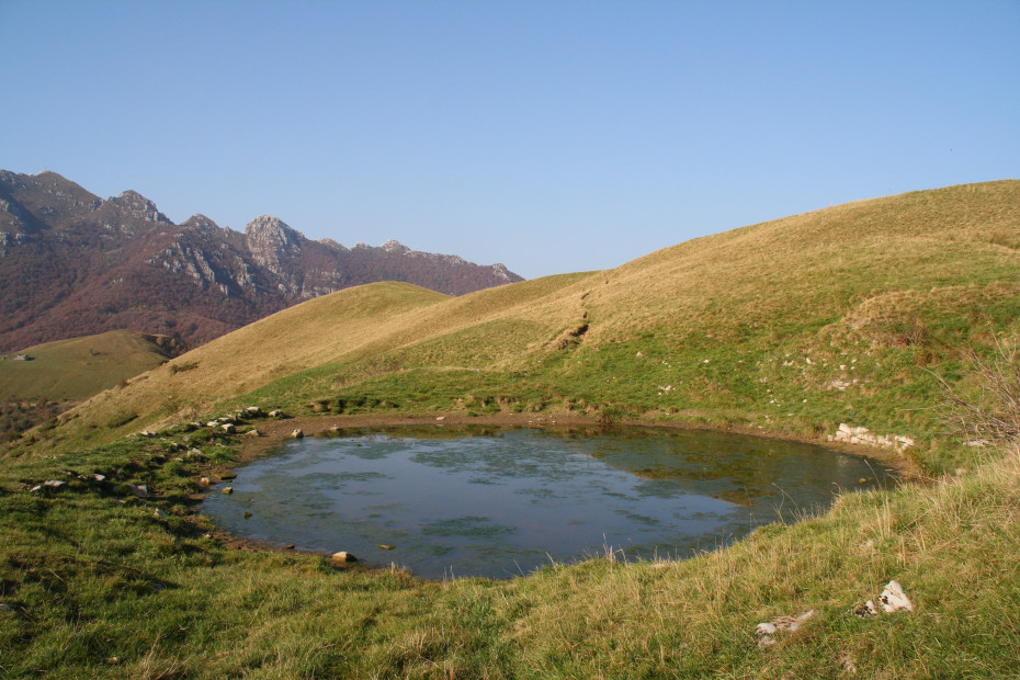 Il sentiero dei grandi alberi e la Costa del Palio (LC) - 19/09/2020 - EVENTO SCADUTO Il sentiero dei grandi alberi e la Costa del Palio (LC) - 19/09/2020 - EVENTO SCADUTO