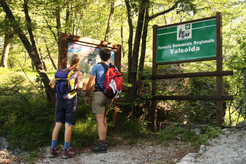 La Foresta regionale della Valsolda (CO) - 12/07/2020 - EVENTO SCADUTO La Foresta regionale della Valsolda (CO) - 12/07/2020 - EVENTO SCADUTO