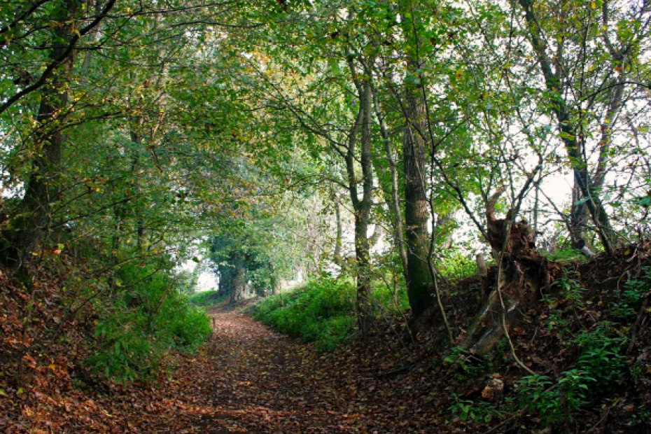 2. Monticchie Regional Nature Reserve