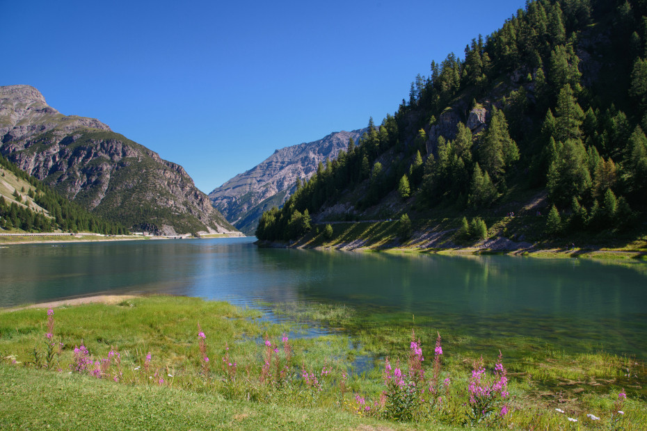 Lago del Gallo/di Livigno (SO)