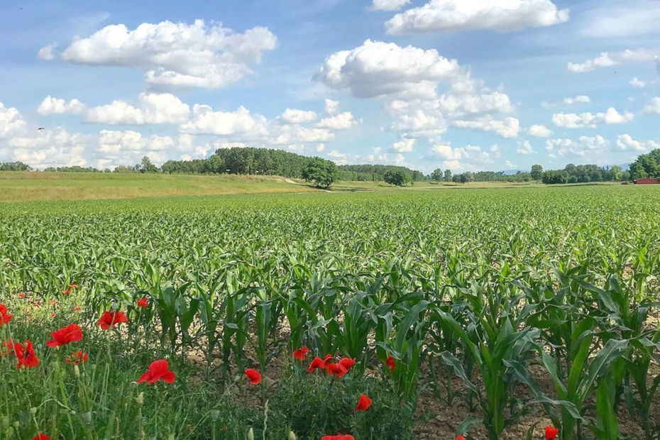 Monticelli Pavese (PV)