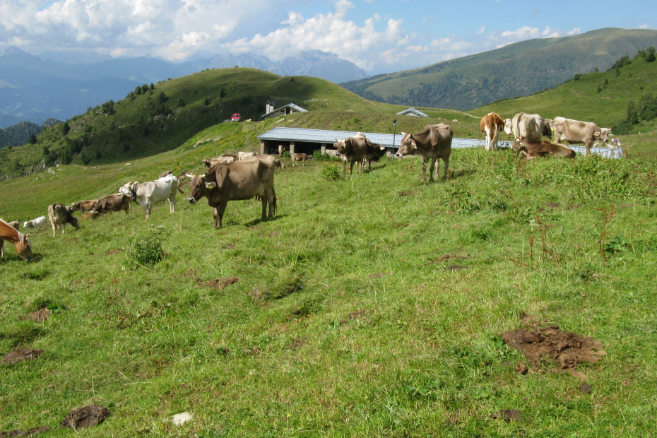 Malghe della Val Rosello (BS) - 23/08/2020 - EVENTO SCADUTO Malghe della Val Rosello (BS) - 23/08/2020 - EVENTO SCADUTO