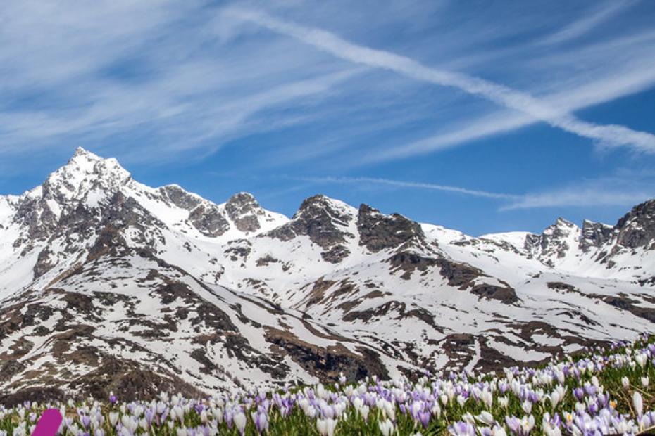 La Valtellina dalla A alla Z