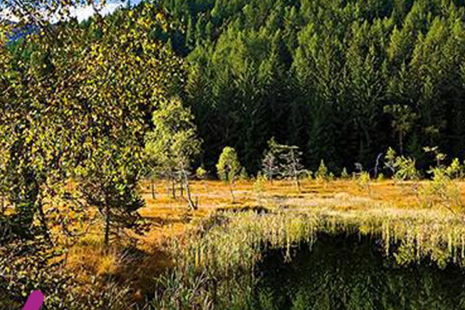 La Valtellina dalla A alla Z