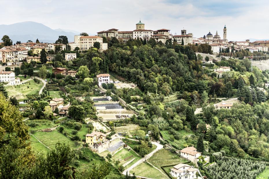 4. Ha angoli verdi nascosti in ogni dove