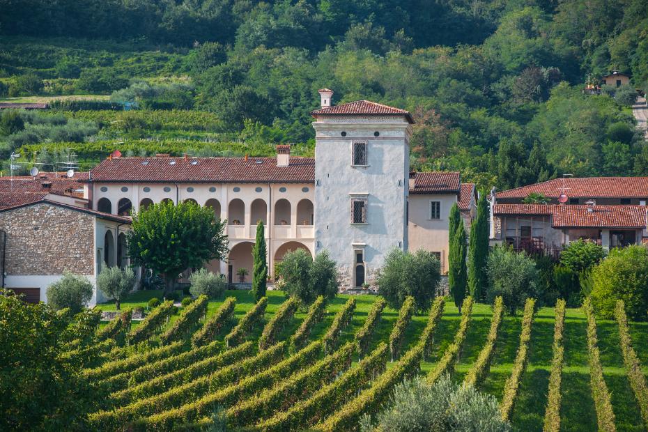 1. Visita in Franciacorta fra cantine