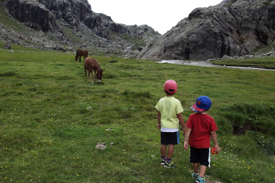 Da Campo Moro al Rifugio Zoia oppure al Rifugio Bignami oppure in Val Poschiavina