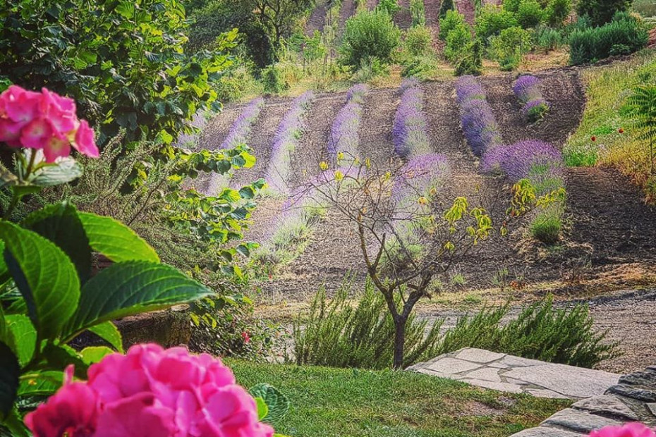L’Agriturismo e Bed&Breakfast il Melo Rosso si trova a Fortunago, Località Cà de Vecchi, paese sulle colline dell’Oltrepò Pavese (riconosciuto come uno de Borghi più belli d’Italia). Il Melo Rosso è la realizzazione di un progetto che cerca innanzitutto una stretta simbiosi fra azienda agricola e attività agrituristica cosi come vorrebbe la vera filosofia dell’agriturismo