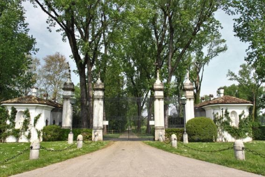 Rhone (MI)