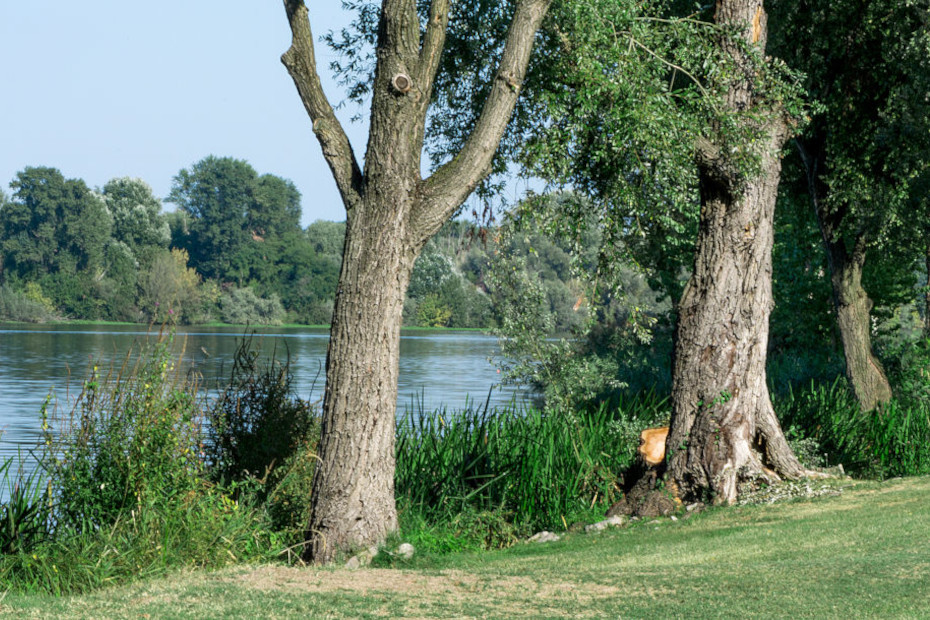 With two wheels between Mantua and the Mincio River